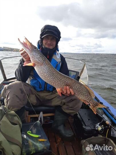 Платная рыбалка