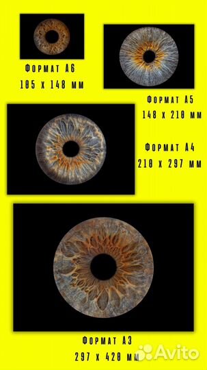 Уникальные снимки радужки за 30 минут