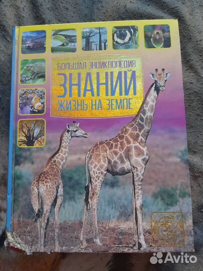 Энциклопедии для детей