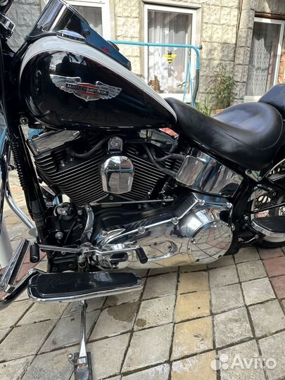 Harley-davidson flstn