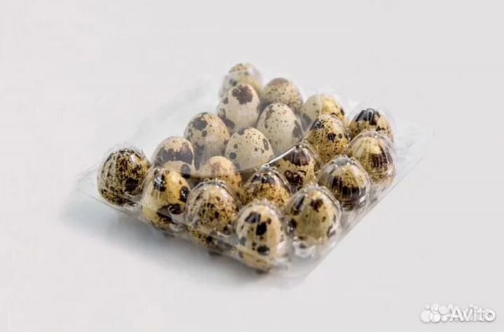 Упаковка для перепелиных яиц