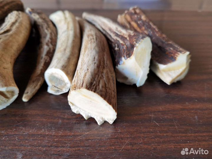 Рога для рукоятки, подделки. Заготовка