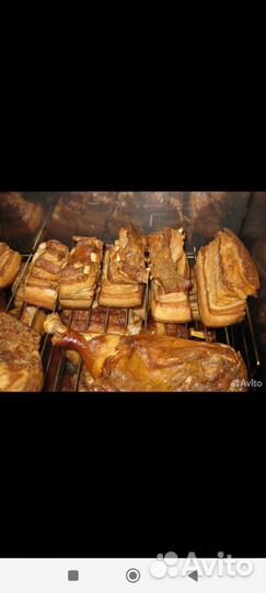 Яйца мясо перепелов