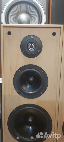 Колонки JBL ATX40(Дания)