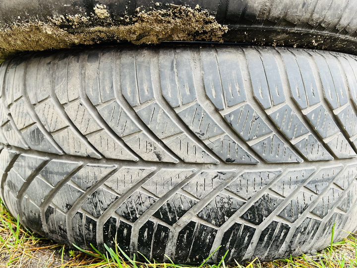 Continental ContiWinterContact TS 830 205/55 R16