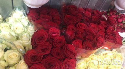 Розочки Букет роз 101 роза 25 роз 51 роза розы с д