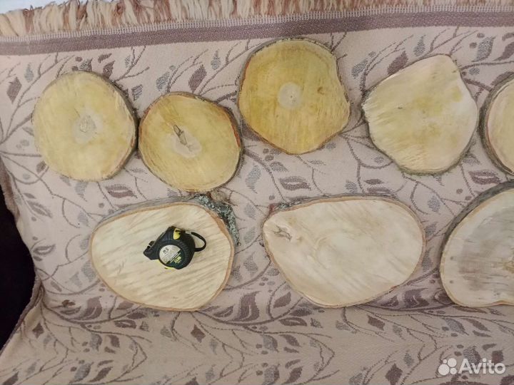 Торцевые спилы деревьев