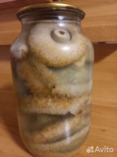 Грибы рыжики, грузди