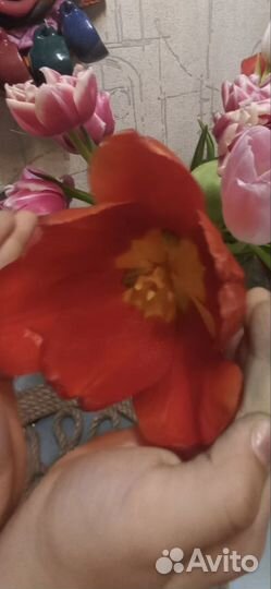 Предзаказ тюльпанов к 8 марта Новый Уренгой