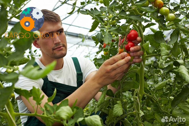 Вахта в Москве с проживанием от 15 смен сборщик