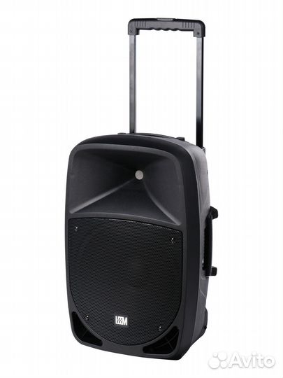 Leem PR-15hr акустическая система