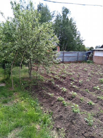 Дом 50 м² на участке 7 сот.