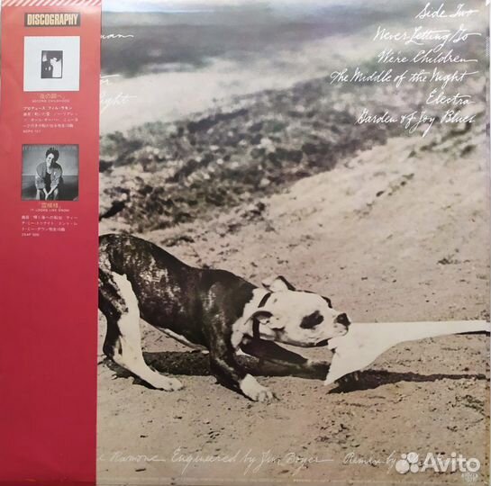 LP - Phoebe Snow- Never Letting Go /Japan CBS/Sony