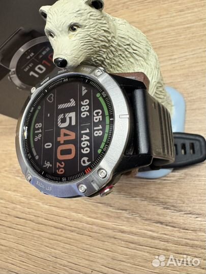 Garmin fenix 6