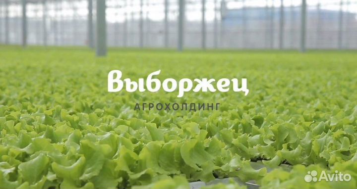 Тракторист-механизатор