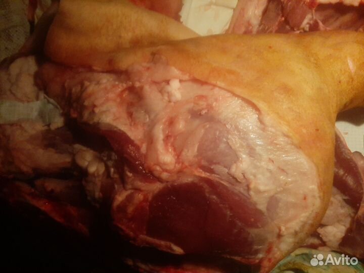 Мясо свинина домашняя