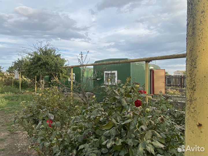 Рыбалка и охота в Астрахани