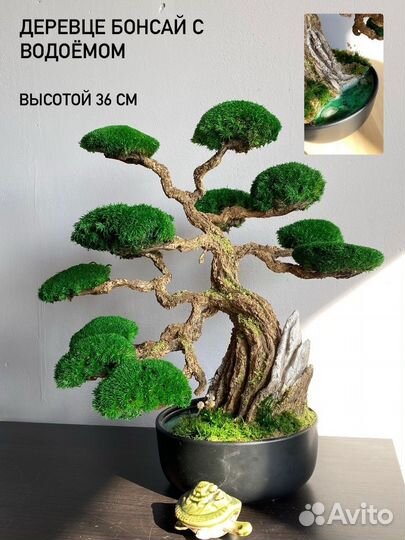 Дерево Бонсай