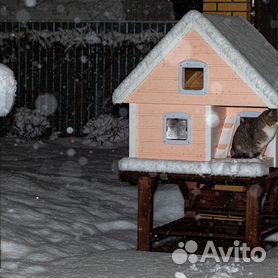 Уличный дом для кошки своими руками