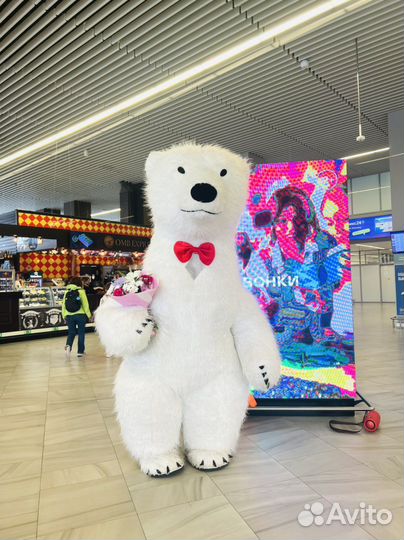 Аниматор. Белый Мишка.Панда