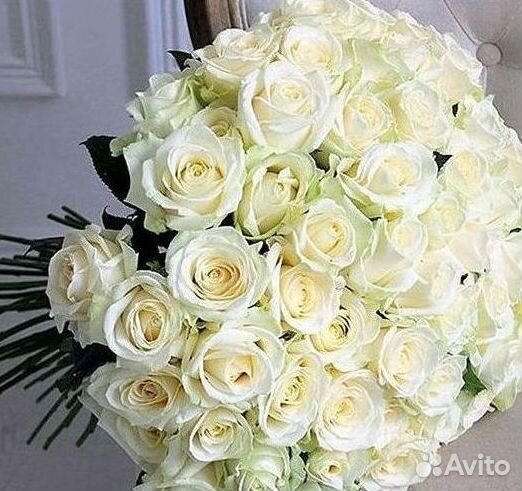 Розы Цветы Букеты 25 151 201 101 301 501 опт