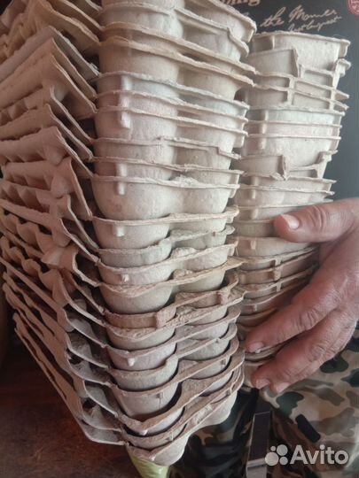 Лотки для куриных яиц