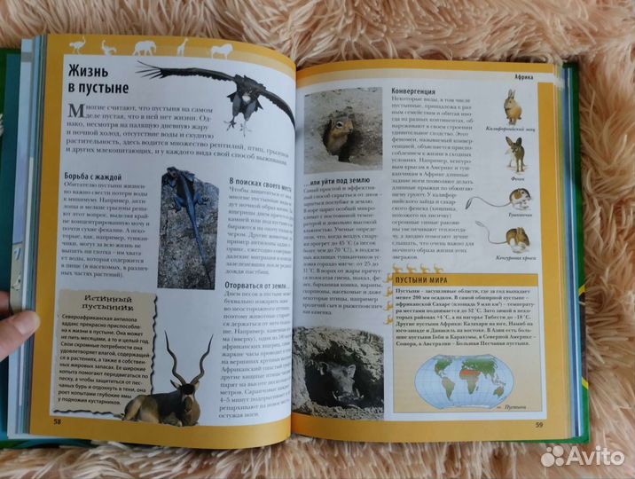 Энциклопедия животные планеты