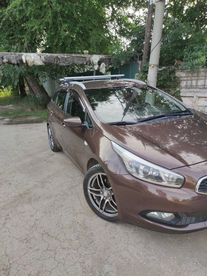 Kia Ceed: фото владельца