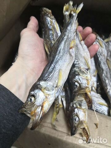 Корюшка вяленая Ерш Камбала вяленая