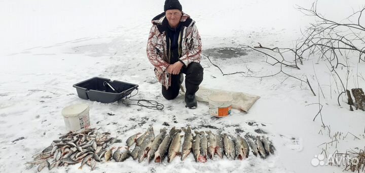 Рыболовная суперснасть Балда.Серебро,Золото,Бронза