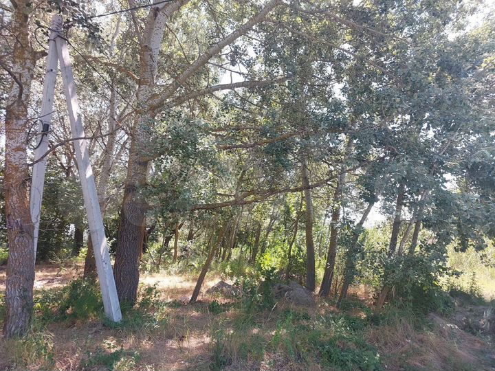 Участок 18 сот. (ИЖС)