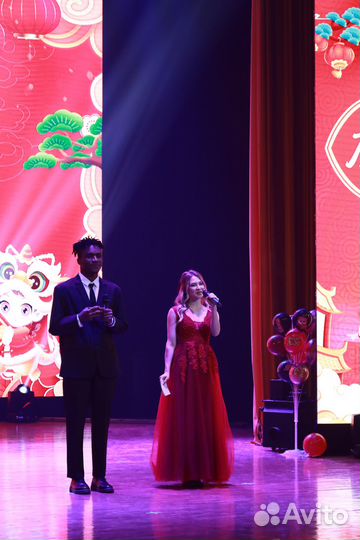 Переводчик китайского языка