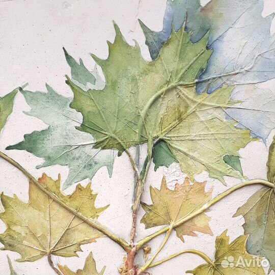 Ботанический барельеф 