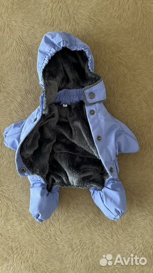 Одежда для маленьких собак