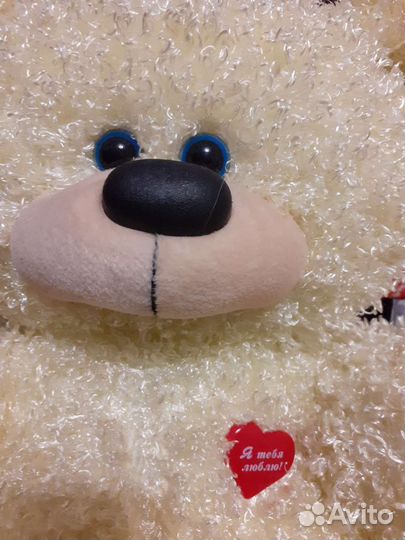 Пушистый медведь