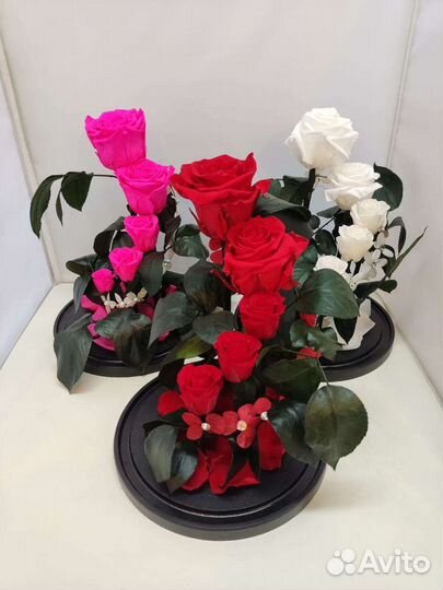 Подарок на новый год / Цветы