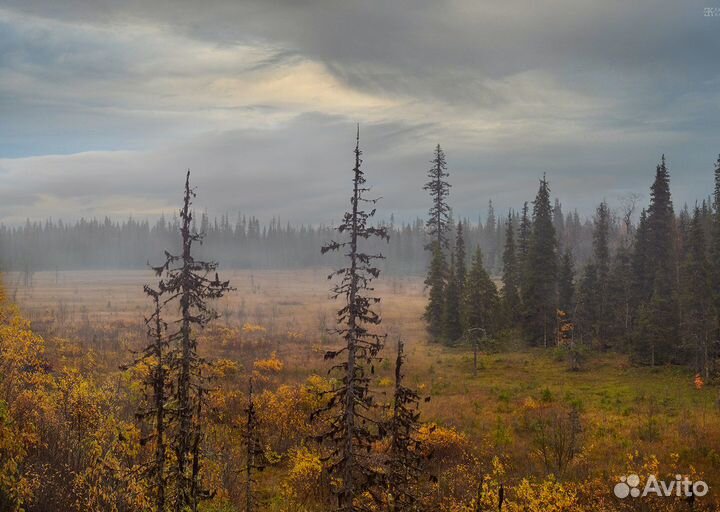 Северная пустыня фотоэкспедиция