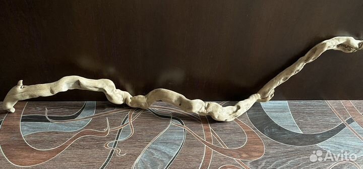 Коряга Корень