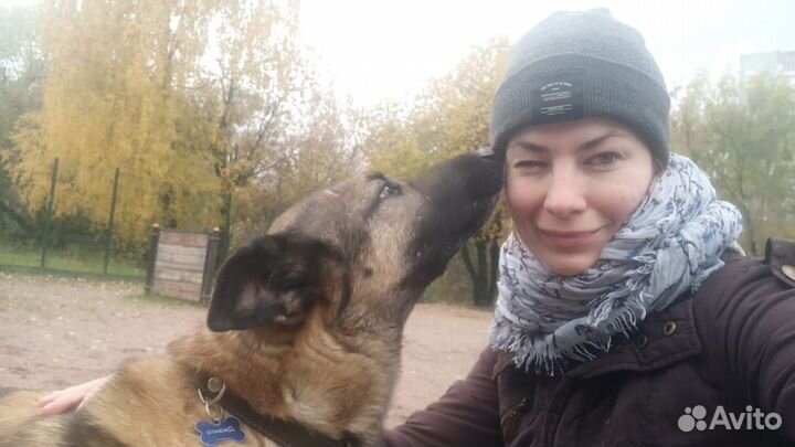 Передержка собаки в загородном доме