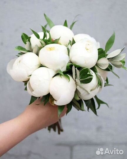 Пионы Букет пионов