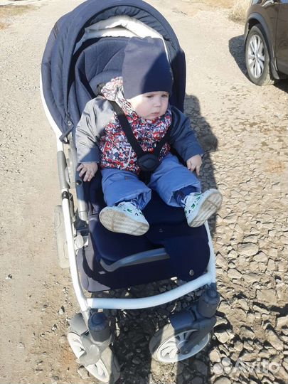 Коляска anex sport 3 в 1