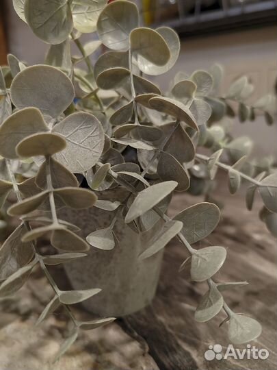 Искусственные растения в горшках