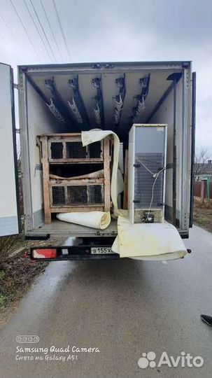 Грузоперевозки / грузчики 24/7