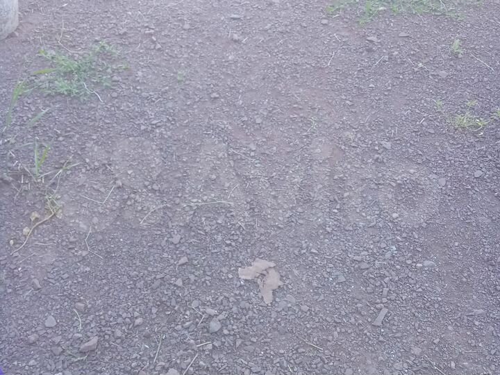 Участок 5 сот. (СНТ, ДНП)