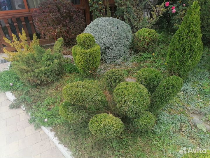 Услуги садовника