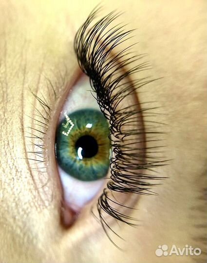 Наращивание, ламинирование ресниц и оформление бро