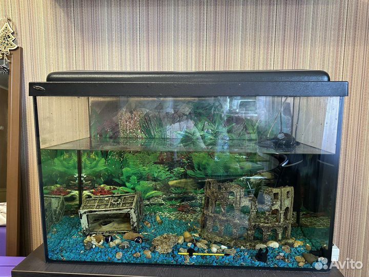Аквариум 150л с тумбой