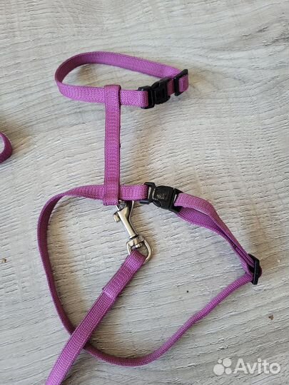 Поводок и шлейка