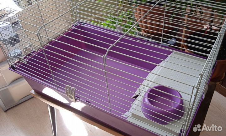 Клетка для морской свинки/грызунов + подарки