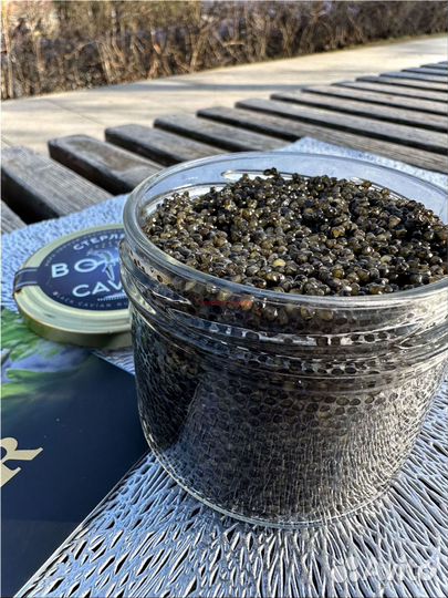 Черная икра